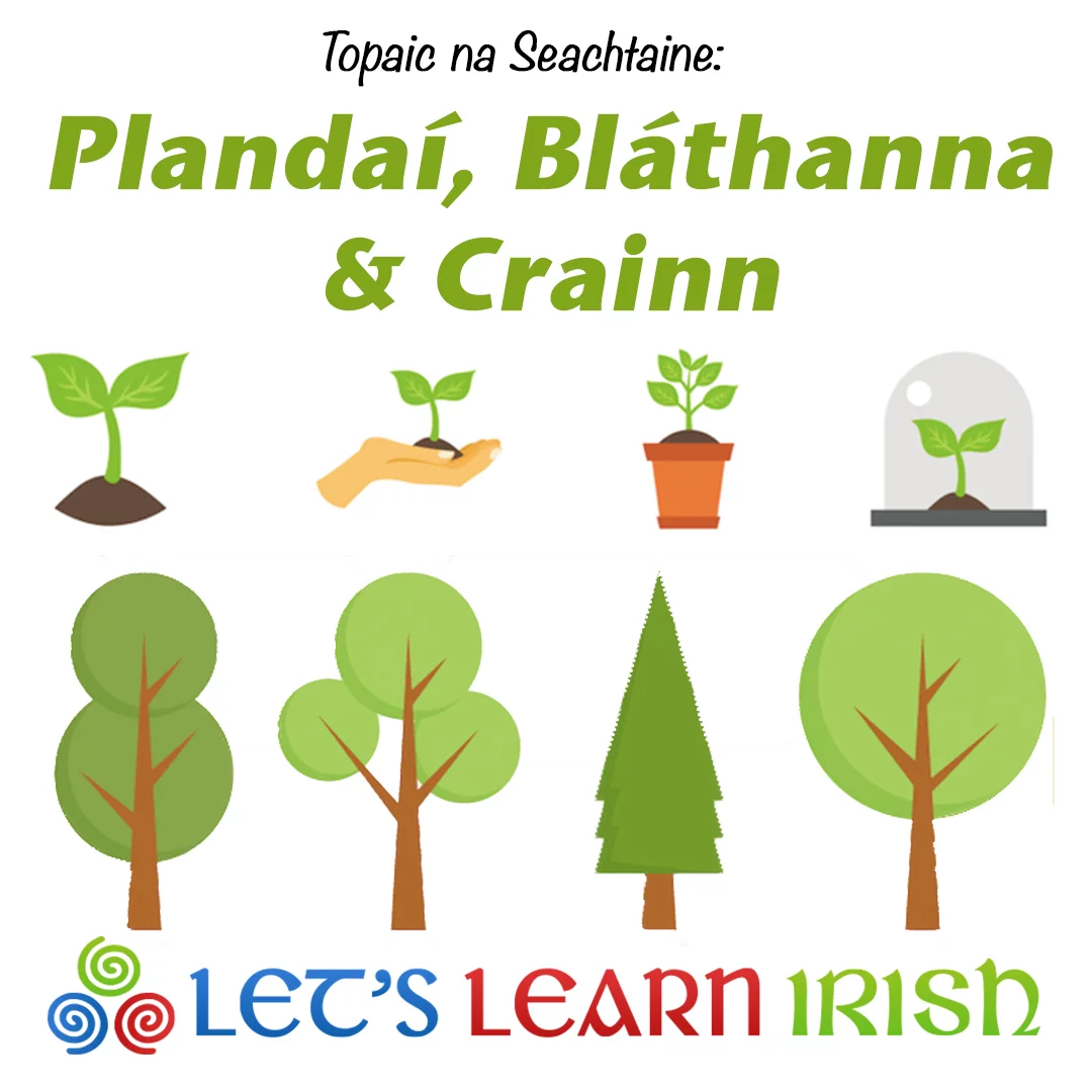 An tSín Cosán Saincheaptha Maisiúil Bollard Solas Rusty Bollard Light -  Seirbhís Mórdhíola, image size:1080x1080