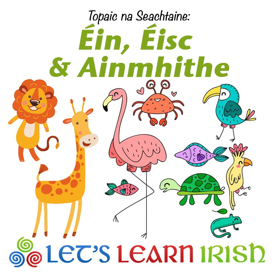 Ballyvourney Tidy Towns (@ballyvourneytidytowns) • Instagram photos and  videos, image size:1080x1080