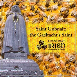 Saint Gobnait