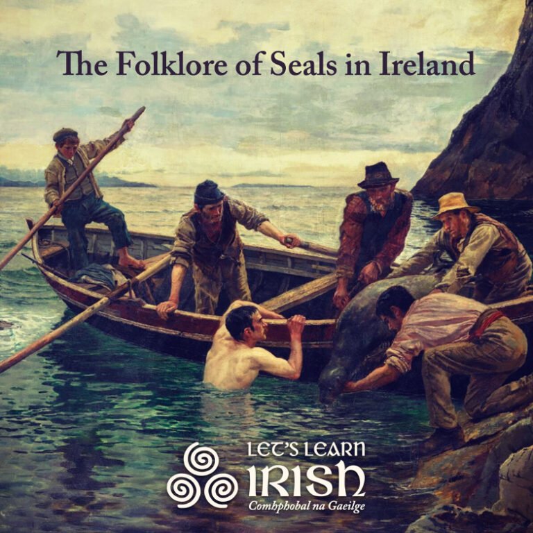 Na Rónta: The Folklore of Seals in Ireland - LetsLearnIrish.com