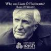 Liam Ó Flaithearta