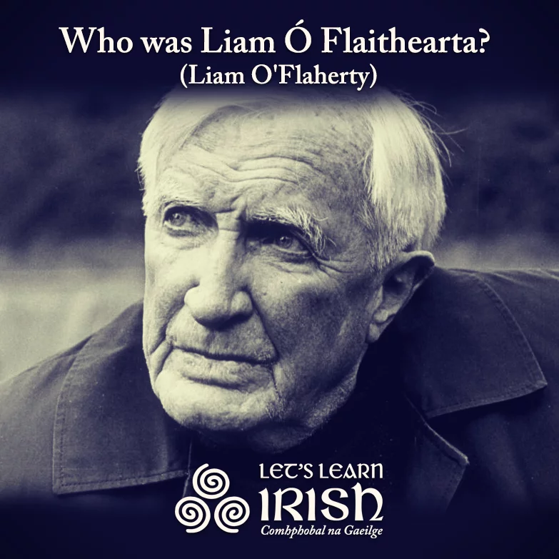 Liam Ó Flaithearta