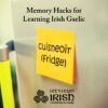 Learning Irish Gaelic demands a schedule