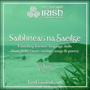 Saibhreas na Gaeilge (Nov/Dec)