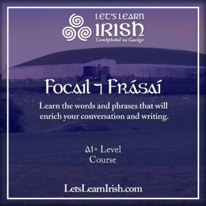 Focail & Frásaí (Nov/Dec)