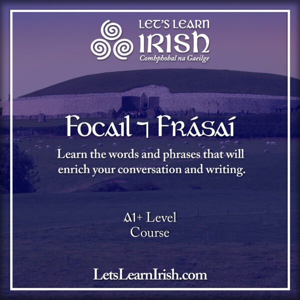 Focail & Frásaí (Nov/Dec)
