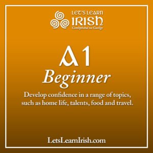 A1 Beginner (Jan/Feb)