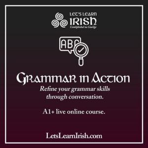 Grammar in Action 1 (Sep/Oct)