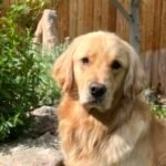 Profile photo of Mary