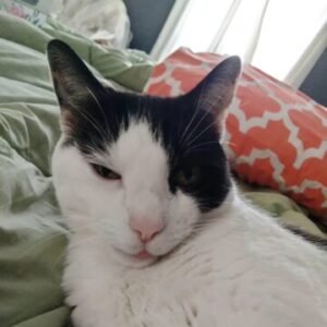 Profile photo of Aubrey