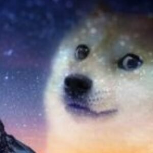 Profile photo of Marc