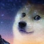 Profile photo of Marc