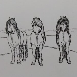 Profile photo of Jessica