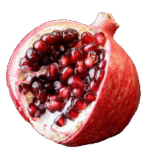 Profile photo of Eden