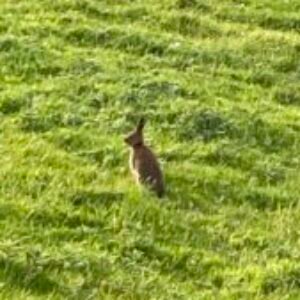Profile photo of Mags
