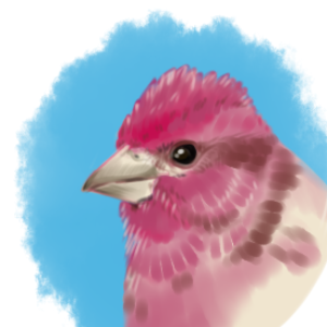 Profile photo of Anna